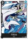 ST06-013 card