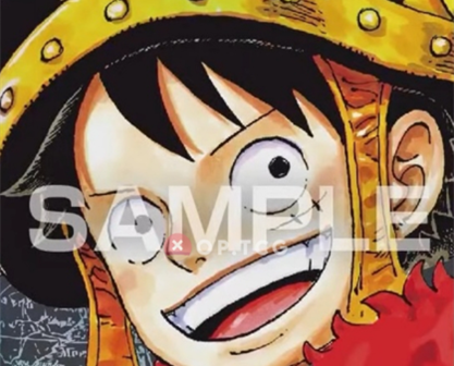 Monkey D. Luffy OP17